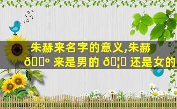 朱赫来名字的意义,朱赫 🐺 来是男的 🦈 还是女的